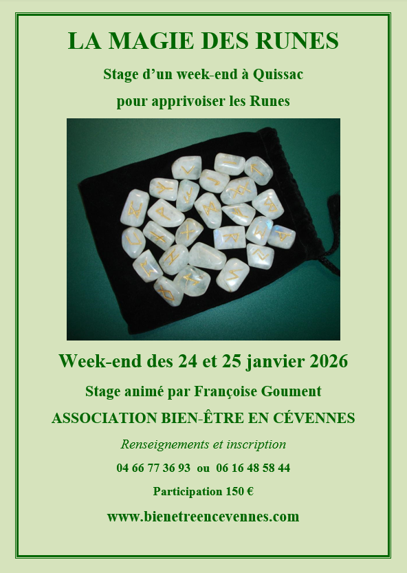 Affiche runes janvier 2027