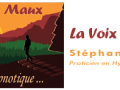 Banniere la voix des maux