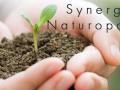 Banniere synergie naturopathie gard