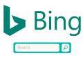 Bing site search
